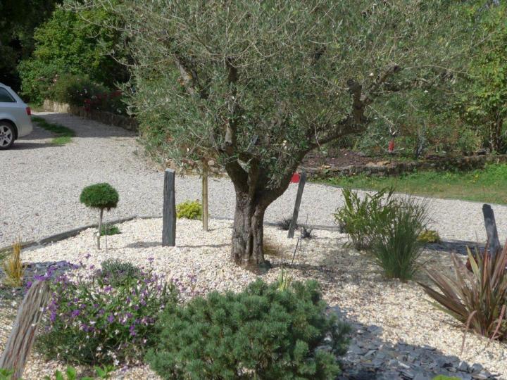 Profitez de nos conseils pour assurer la bonne croissance de vos plantes à Courcebœufs.