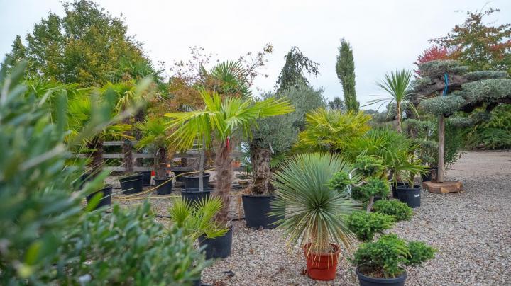 Travaux aménagement de piscine Courceboeufs
