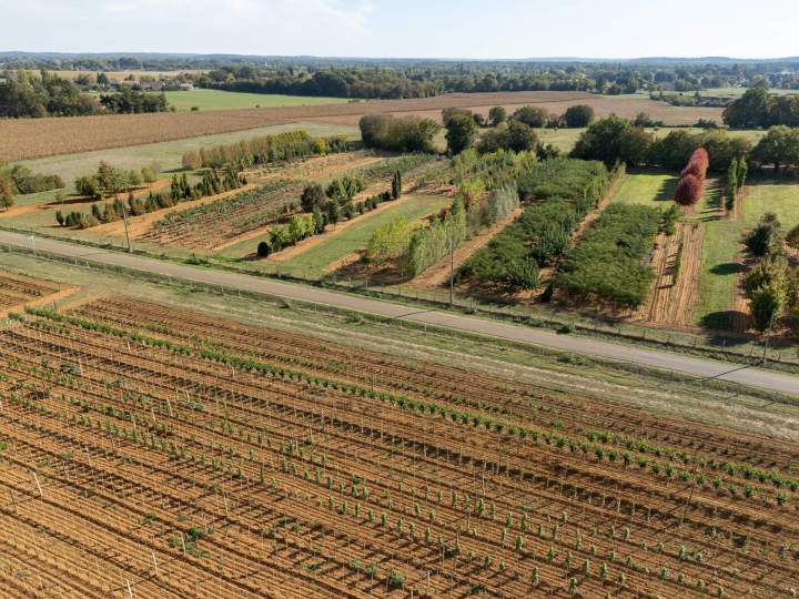 2026 10 06 SCEA PEPINIERES BOULAY 34