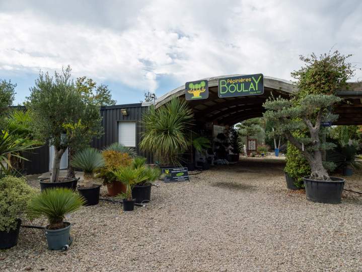 Vente de plantes Courceboeufs