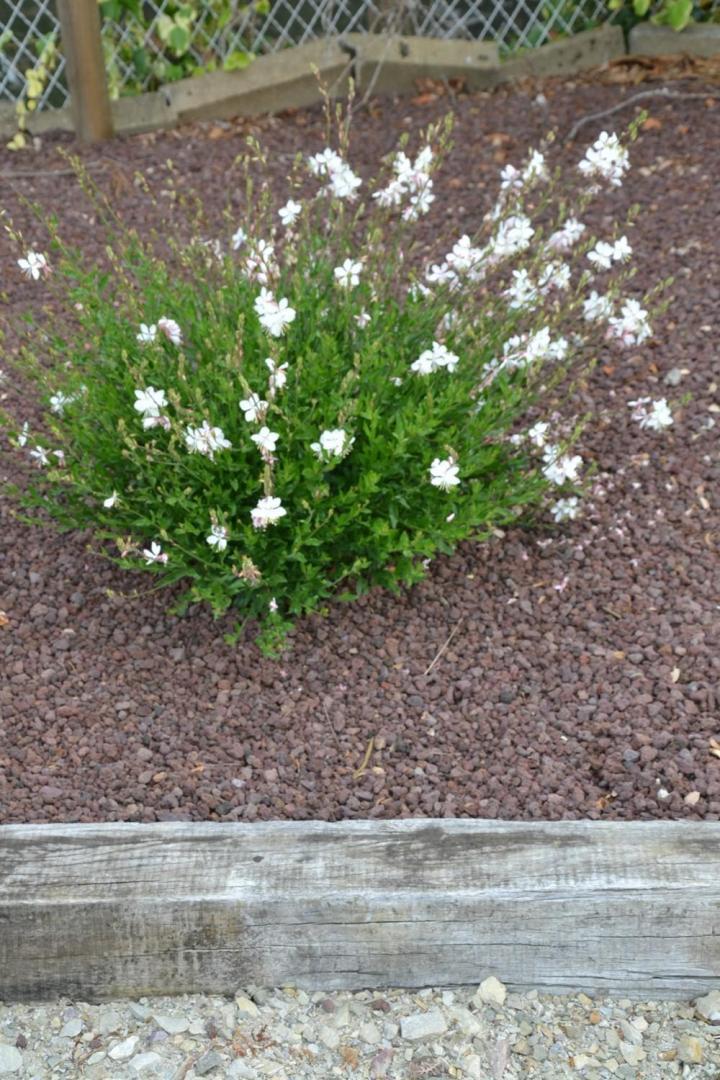 Aménagement de terrasse Courceboeufs